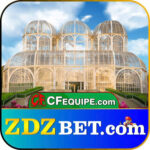 Profile picture of ZDZBet